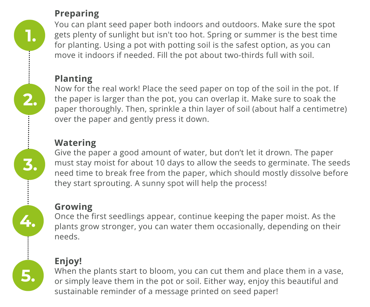 Seed paper step-by-step
