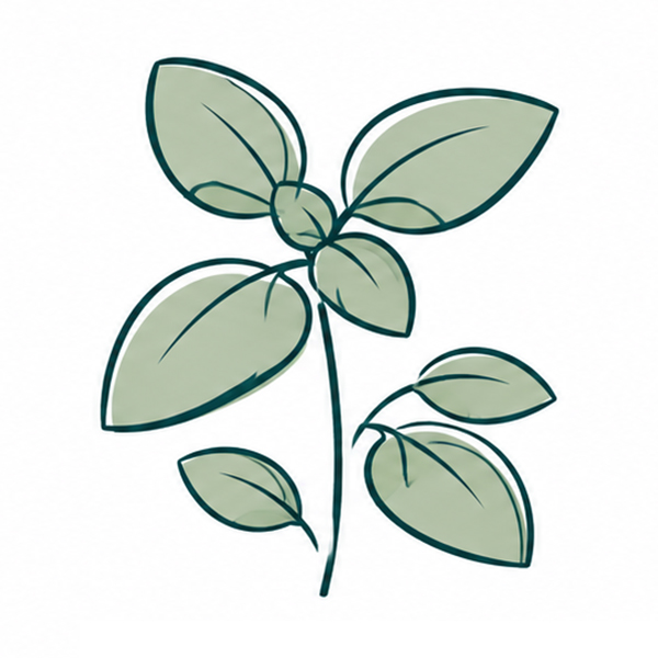 Bâtonnet de plantation avec graines - image 8