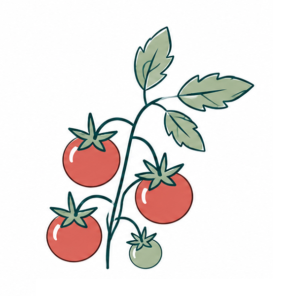 Herbes dans un seau - image 16