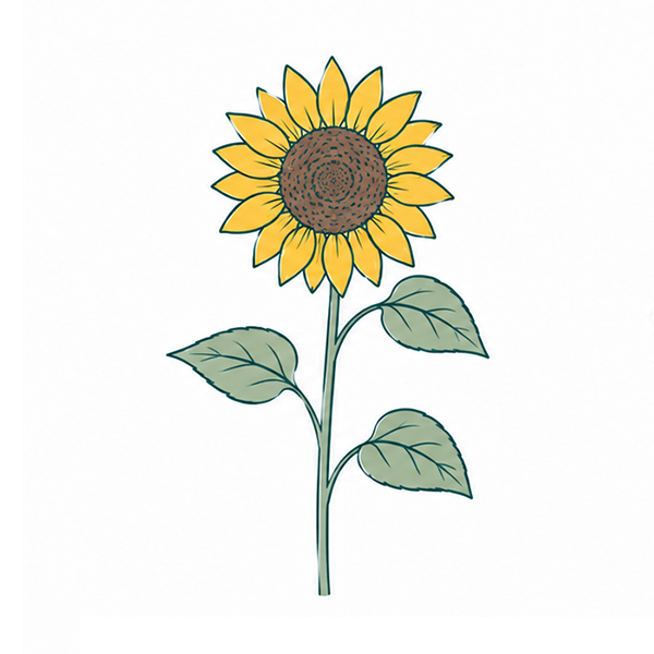 Ensemble de plantes double - image 3