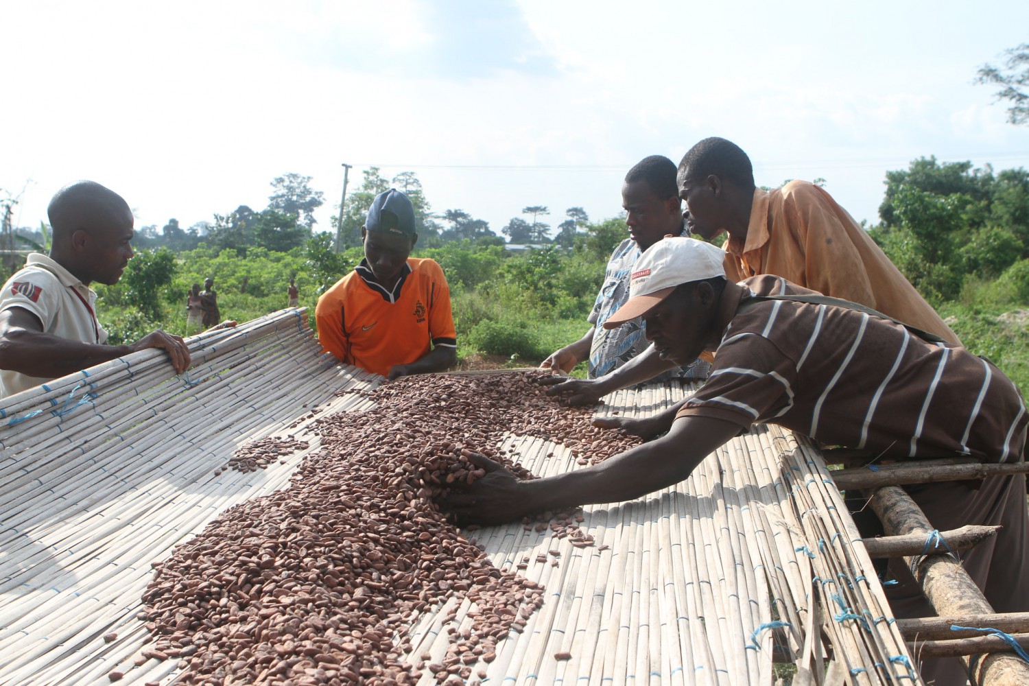 Producteurs de cacao Tony's Chocolonely