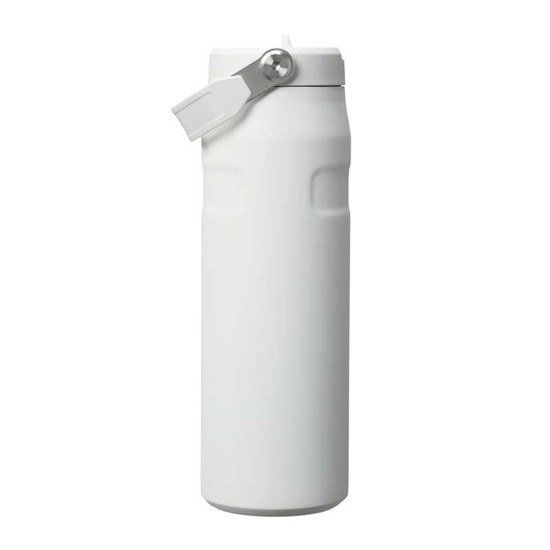 Gobelet Stanley IceFlow Flip Straw 2.0 700 ml - image 3