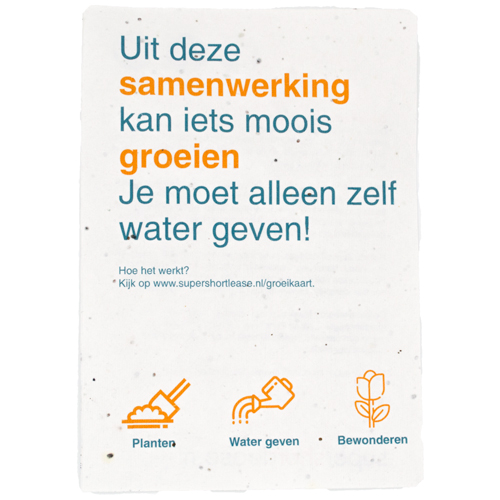 Papier ensemencé A4 | 200 g/m² - image 2