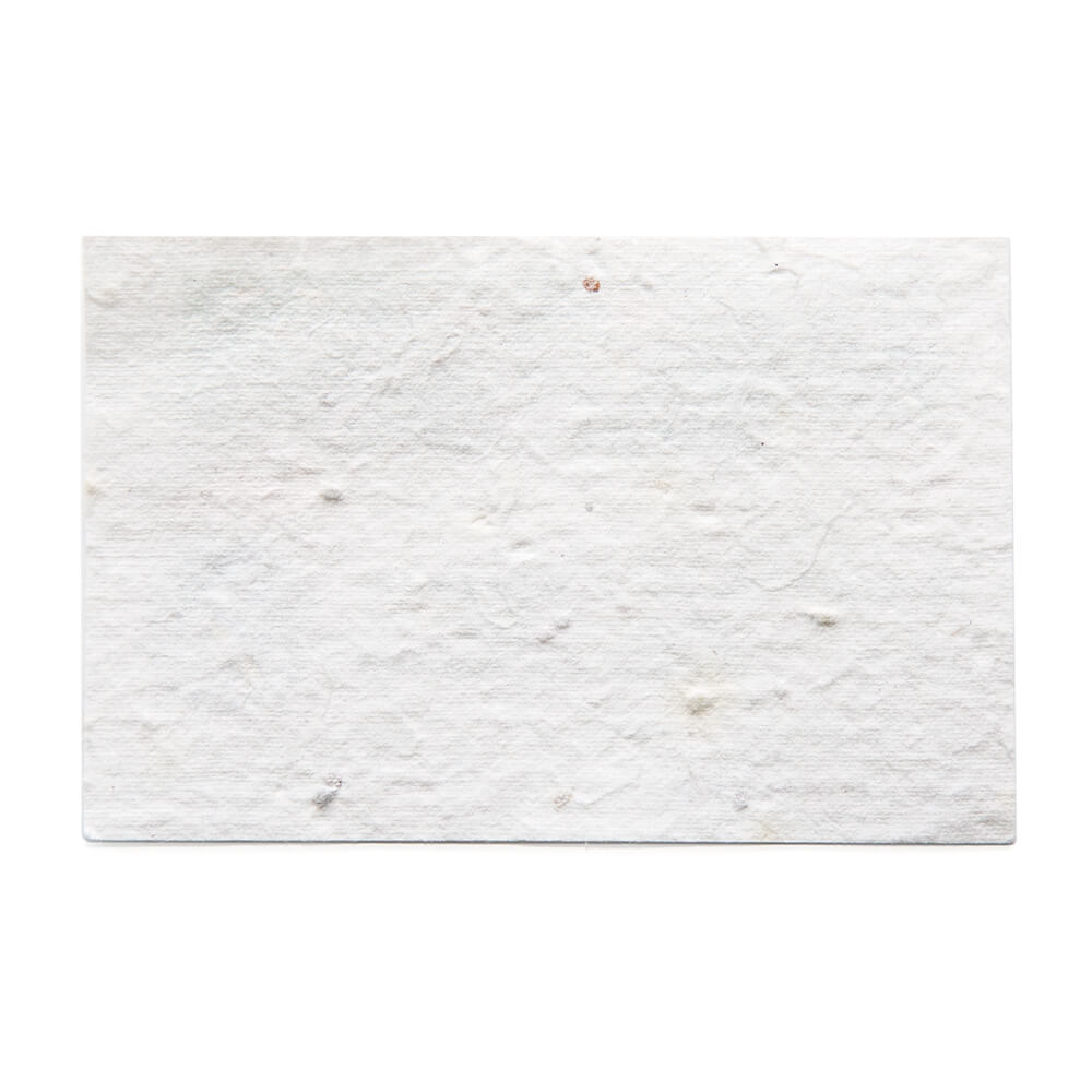 Cartes de visite en papier ensemencé - image 4