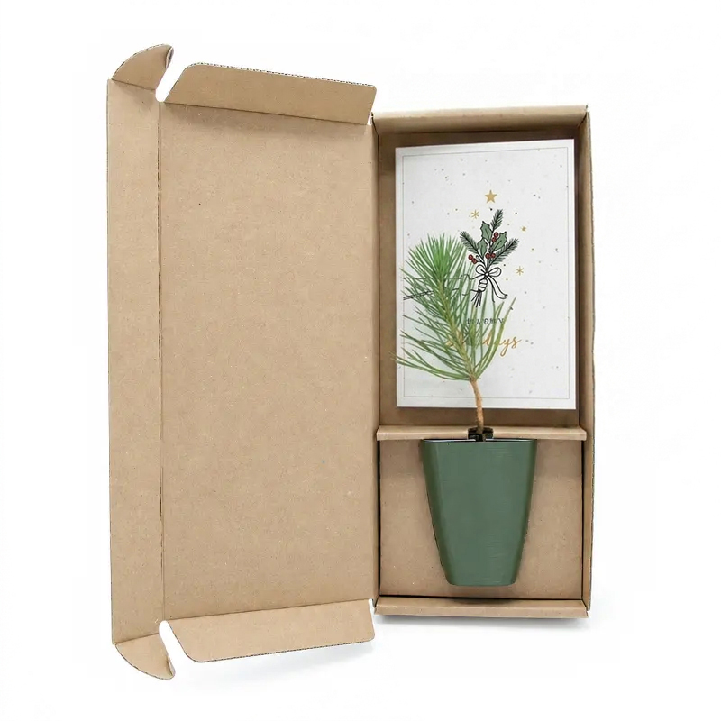 Cadeau arbre en boîte | Noël