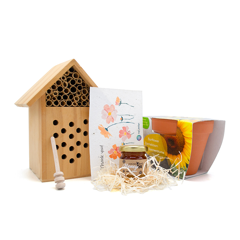 Coffret ensoleillé pour abeilles - image 2