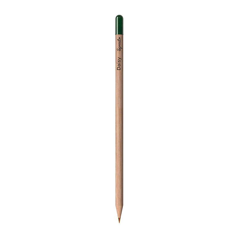 Crayon Sprout multicolore - image 2