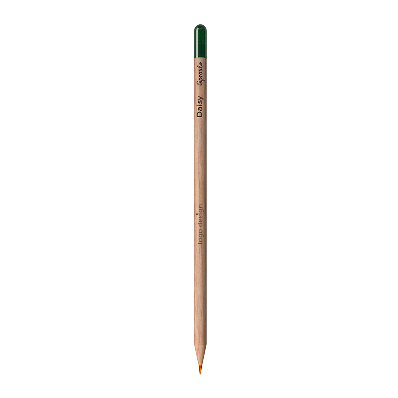 Crayon Sprout multicolore