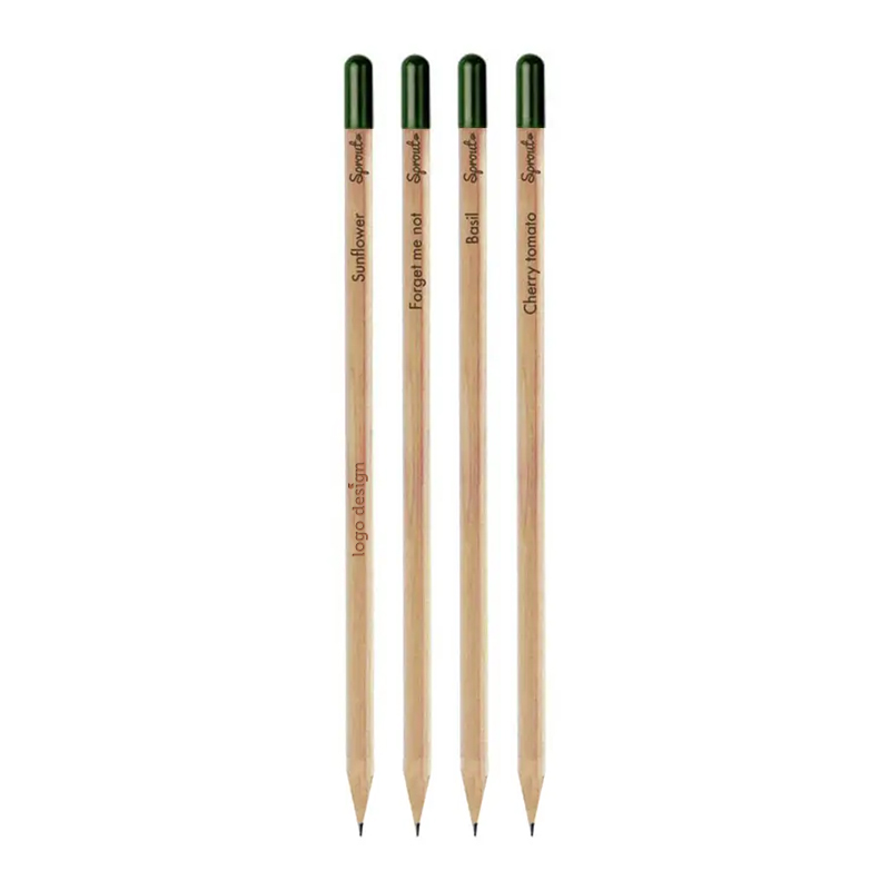 Crayon Sprout