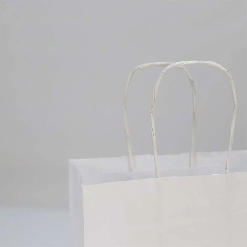 Sac en papier coloré L | 100 gr./m2 - image 2
