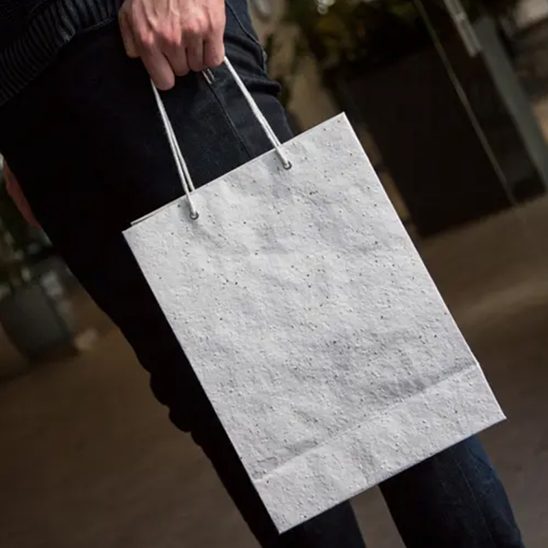 Sac en papier ensemencé moyen - image 2