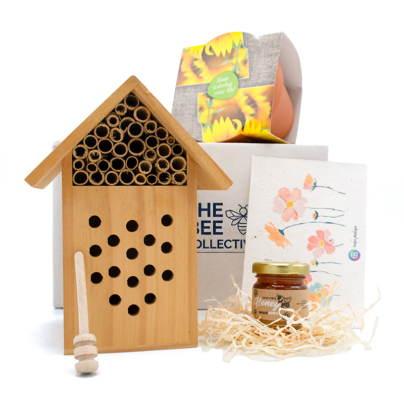 Coffret ensoleillé pour abeilles