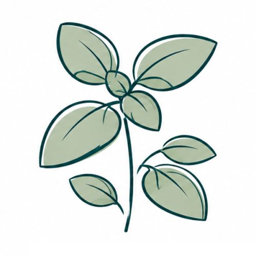 Bâtonnet de plantation avec graines - image 8