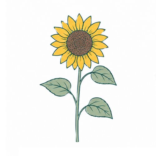 Ensemble de plantes double - image 3