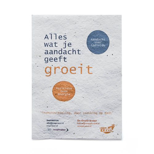 Papier ensemencé A5 | 200 g/m² - image 4