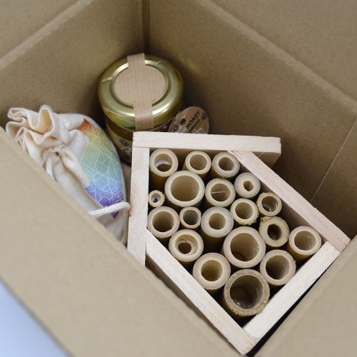 Mini coffret abeilles - image 3