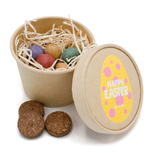 Le printemps en boîte - image 1