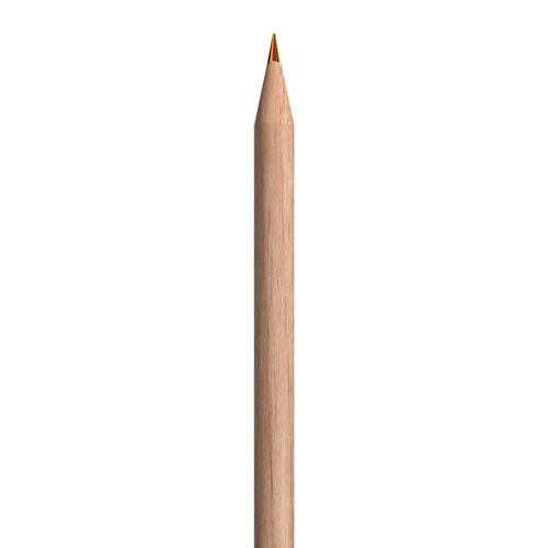 Crayon Sprout multicolore - image 3