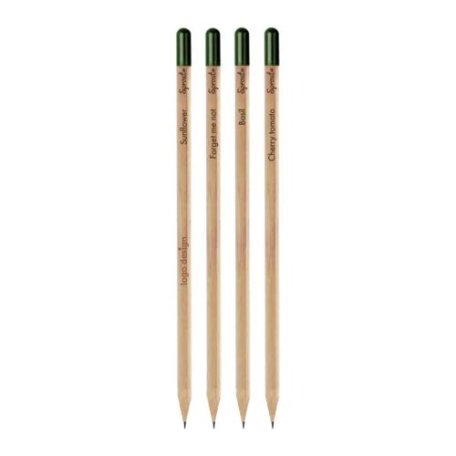 Crayon Sprout - image 1