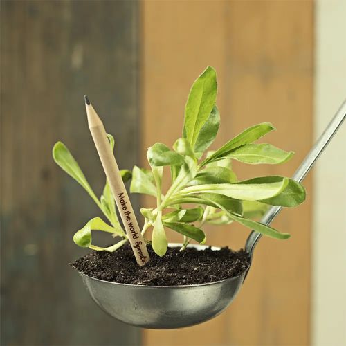Crayon Sprout avec graines - image 3