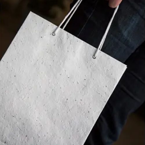 Sac en papier de croissance grand - image 3