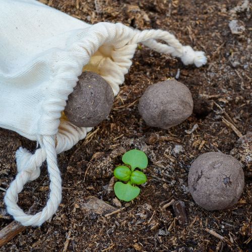 5 bombes à graines dans un sachet - image 4