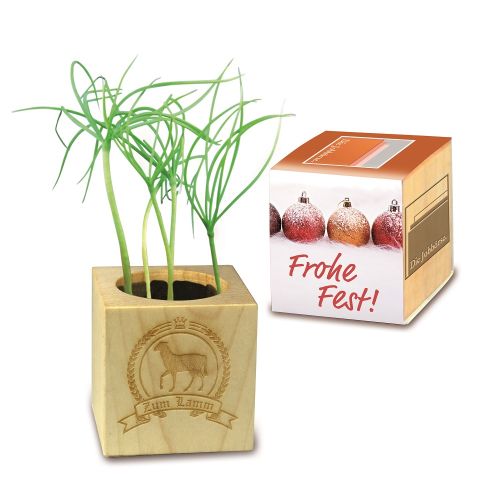 Ensemble de plantes avec bande - image 3