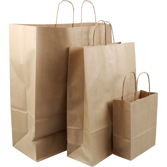 Sac en papier avec poignées torsadées L
