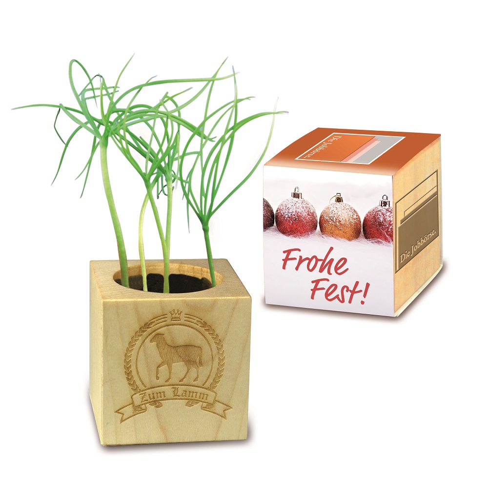 Ensemble de plantes avec bande - image 2
